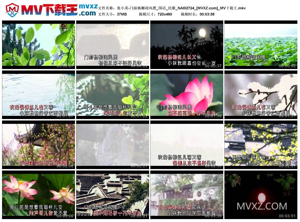 张小英-门前杨柳迎风摆_国语_民歌_NAI02724